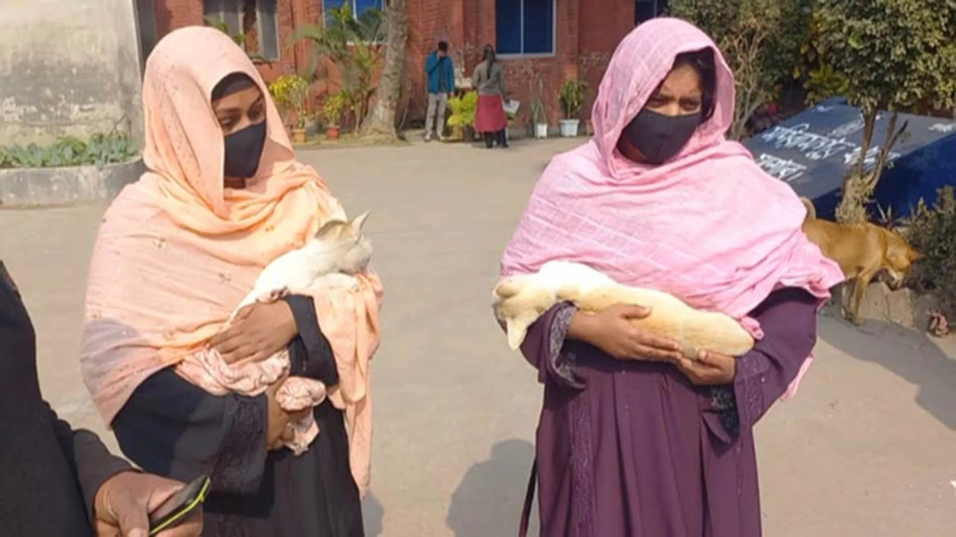 প্রতিবেশীর বিড়াল পিটিয়ে হত্যা, থানায় অভিযোগ